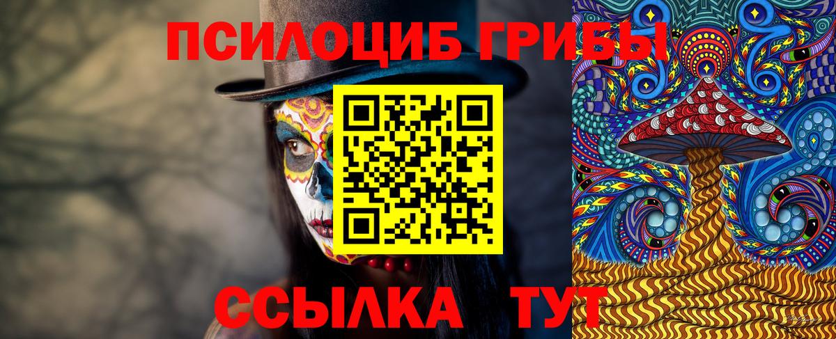 Псилоцибиновые грибы мицелий Апрелевка